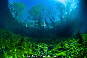 Posta Fibreno Lake- Lazio- Italy by Marco Bartolomucci 